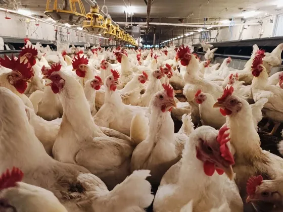 จังหวัดบุรีรัมย์เตรียมจัด “ตนบุรีรัมย์เกมส์” กีฬานักเรียน-นักศึกษาแห่งชาติ ครั้งที่ ๔๕ ปี ๒๕๖๙