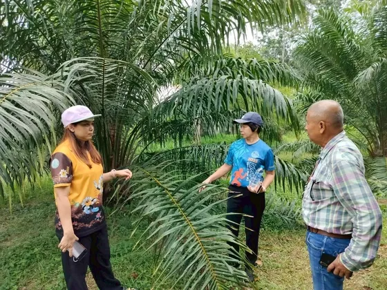 เกษตรอำเภอเมืองตรัง ติดตามและเยี่ยมเยียนเกษตรกรที่เข้าร่วมโครงการส่งเสริมการเกษตรปลอดภัยและพืชอัตลักษณ์เพื่อส่งเสริมเศรษฐกิจฐานราก ปี ๒๕๖๗

 
