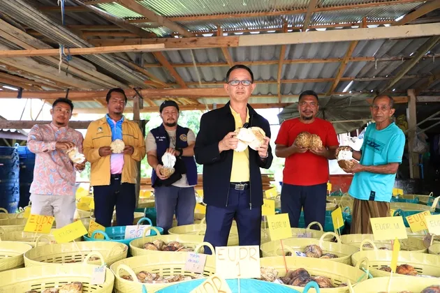 กยท จ. ยะลา เริ่มซื้อขายยางตามมาตรฐาน EUDR หนุนเกษตรกรได้ราคาพรีเมียม เข้าถึงตลาดโลก