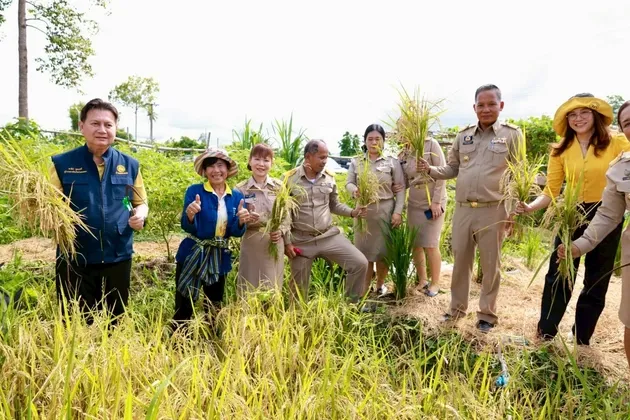 จังหวัดกำแพงเพชร ส่งเสริมเศรษฐกิจพอเพียง ลงพื้นที่เยี่ยมชม ศูนย์เรียนรู้ผู้นำท้องที่บึงสามัคคี ต้นแบบเกษตรยั่งยืน