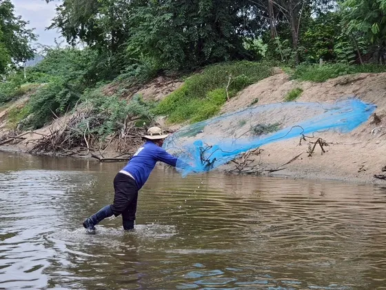 ประมงจังหวัดเพชรบุรี พร้อมภาครัฐ และชุมชน ลงแขกลงคลองกำจัดปลาหมอคางดำในแหล่งน้ำพื้นที่ชะอำ แก้ไขปัญหาการแพร่ระบาดของปลาหมอคางดำ