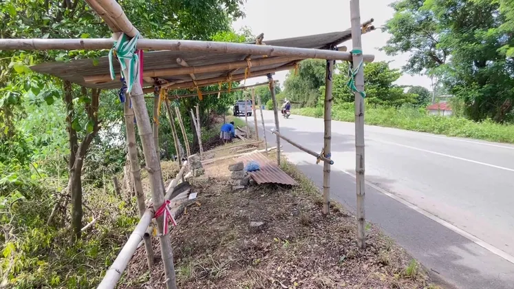 ชัยนาท ชาวบ้านริมเจ้าพระยาเตรียมสร้างเพิงพักชั่วคราวรับมือน้ำท่วม หลังเขื่อนระบายน้ำเพิ่มต่อเนื่อง