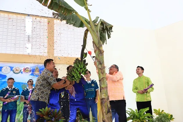 มหกรรมกล้วยหินบันนังสตา ๒๕๖๘ คึกคัก ชู กล้วยหิน พืชเศรษฐกิจ สร้างรายได้ชุมชน