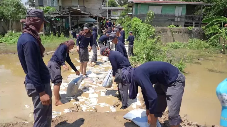 ชัยนาท ทหารกองบิน ๔ ตาคลี ช่วยชาวบ้านตำบลโพนางดำออก กรอกกระสอบทรายวางแนวเสริมคันดินป้องกันน้ำท่วม หลังเขื่อนเจ้าพระยาเพิ่มการระบาย