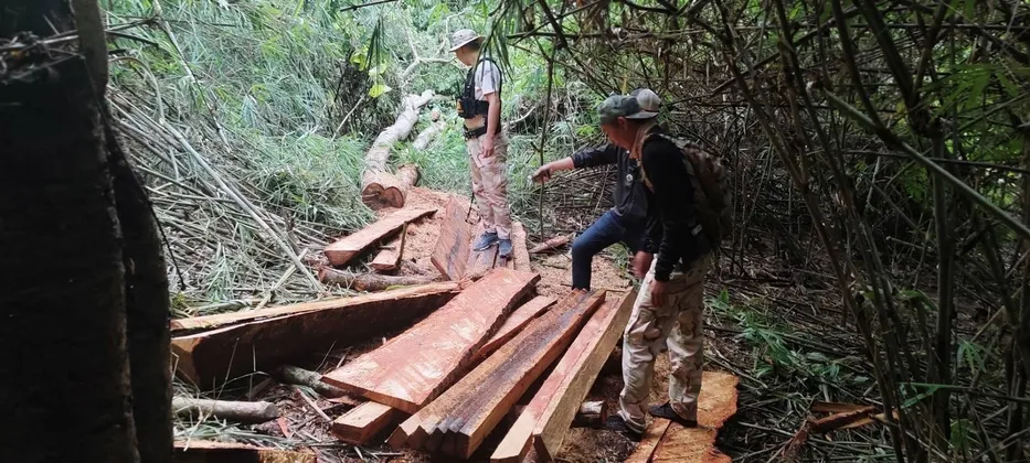 อำเภอด่านซ้าย จังหวัดเลย บูรณาการหน่วยงานที่เกี่ยวข้องออกตรวจปราบปรามการกระทำผิดกฎหมายว่าด้วยการป่าไม้ พบการลักลอบตัดไม้และแปรรูปไม้ บริเวณใกล้ป่าบ้านห้วยลาด ตำบลอิปุ่ม