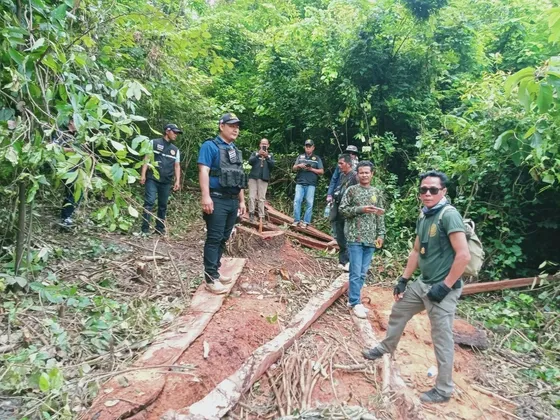 อ.เทพสถิต เข้าตรวจสอบการลักลอบตัดไม้ยางนาในเขตป่าสงวน