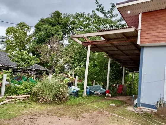 จังหวัดนราธิวาส เร่งสำรวจความเสียหายเพื่อให้ความช่วยเหลือประชาชนที่ได้รับผลกระทบจากเหตุวาตภัย